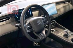 بی وای دی Qin Plus